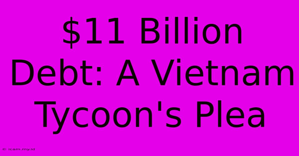 $11 Billion Debt: A Vietnam Tycoon's Plea