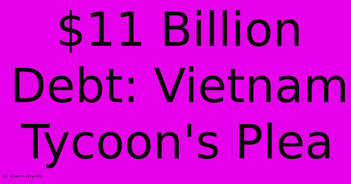 $11 Billion Debt: Vietnam Tycoon's Plea