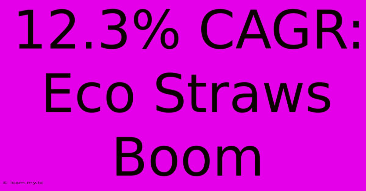 12.3% CAGR: Eco Straws Boom