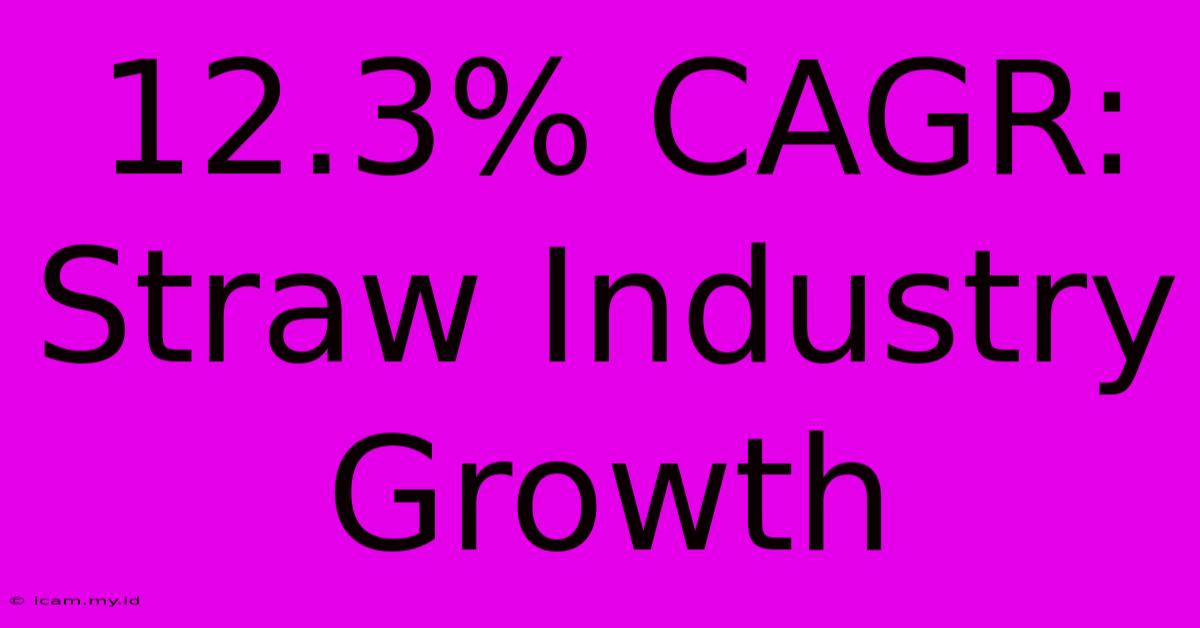 12.3% CAGR: Straw Industry Growth