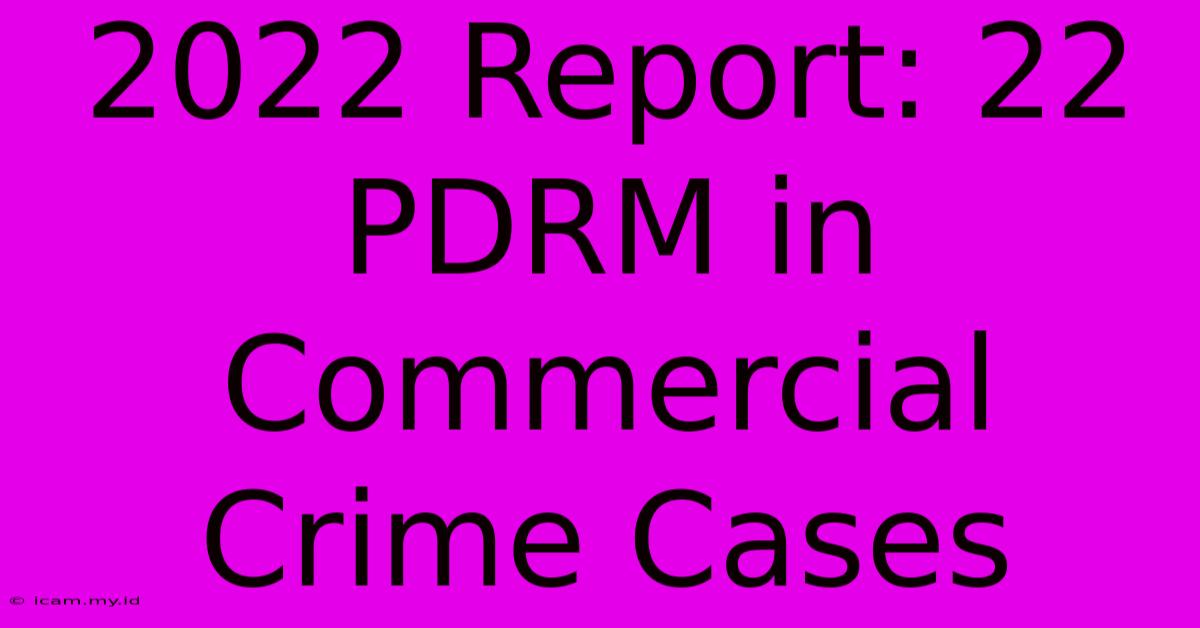 2022 Report: 22 PDRM In Commercial Crime Cases