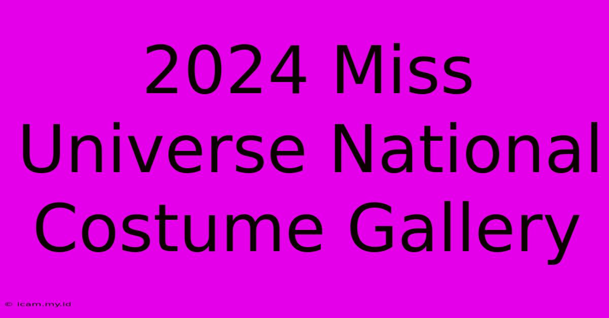 2024 Miss Universe National Costume Gallery