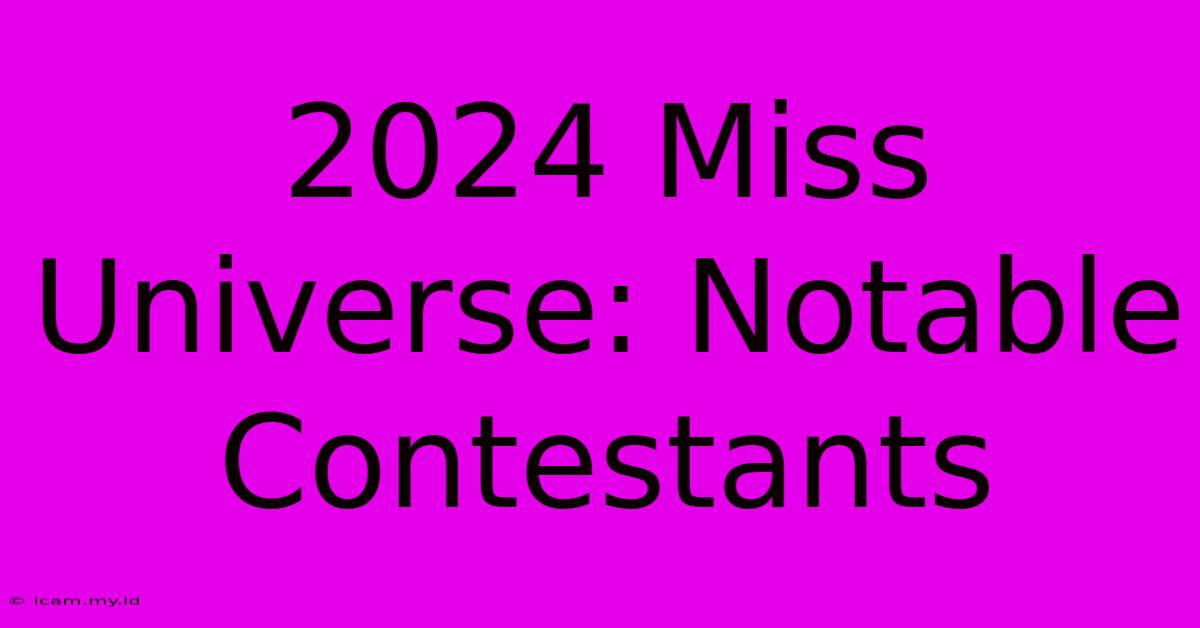 2024 Miss Universe: Notable Contestants