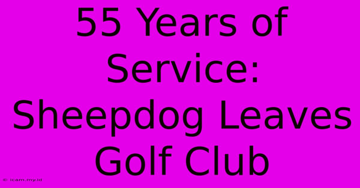 55 Years Of Service: Sheepdog Leaves Golf Club