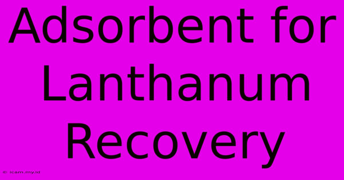 Adsorbent For Lanthanum Recovery