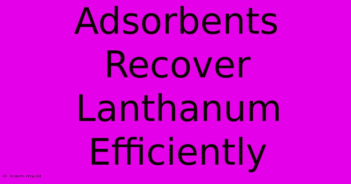 Adsorbents Recover Lanthanum Efficiently