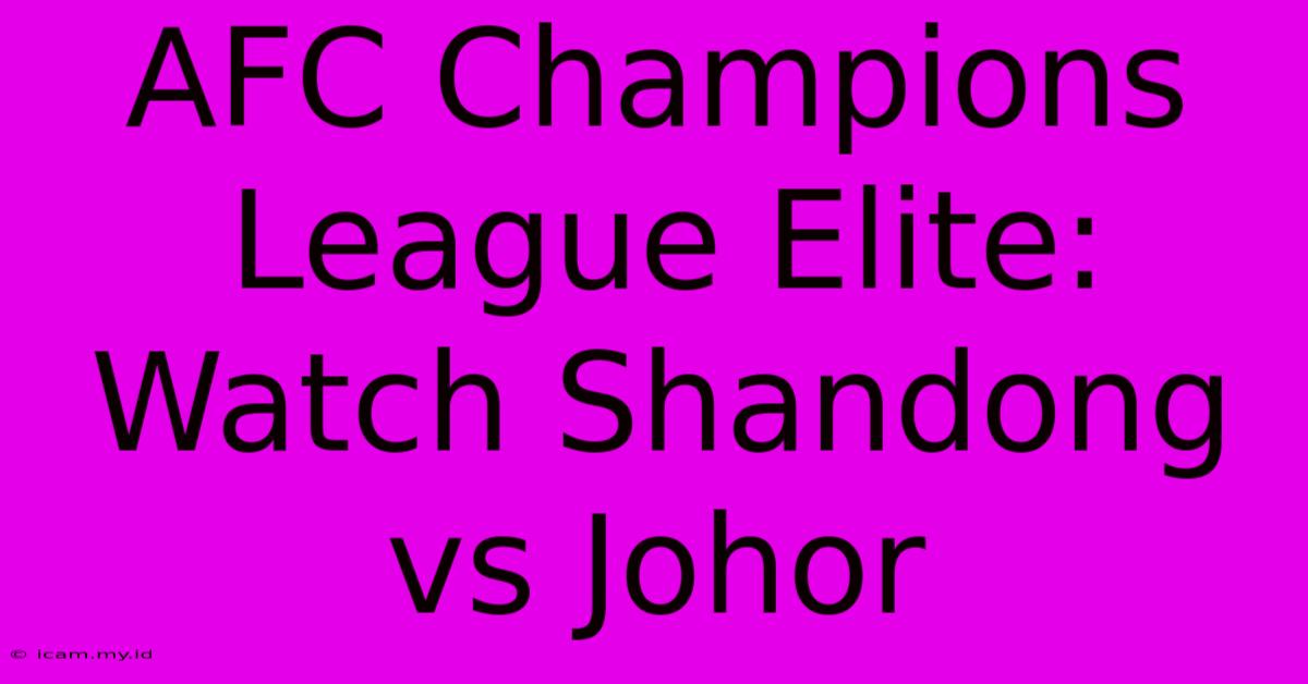 AFC Champions League Elite: Watch Shandong Vs Johor