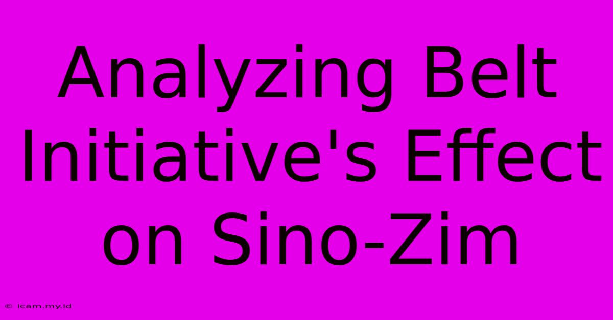 Analyzing Belt Initiative's Effect On Sino-Zim