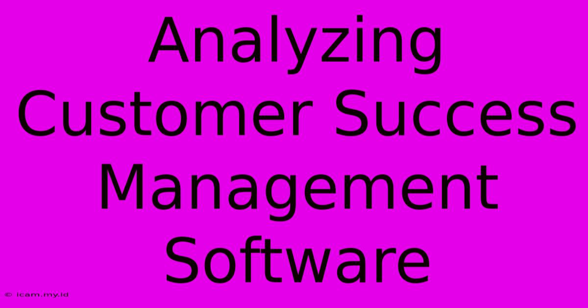 Analyzing Customer Success Management Software