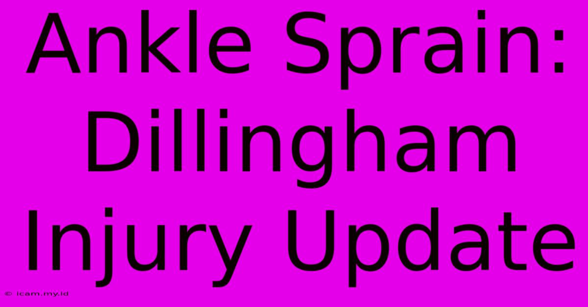 Ankle Sprain:  Dillingham Injury Update