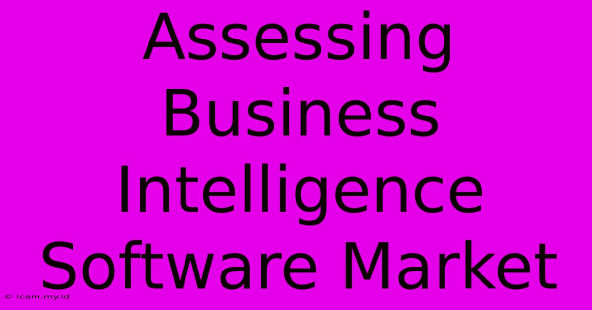 Assessing Business Intelligence Software Market