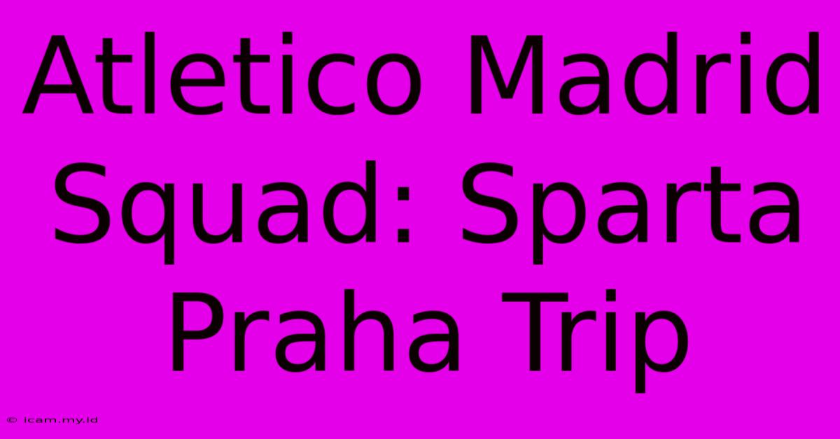 Atletico Madrid Squad: Sparta Praha Trip