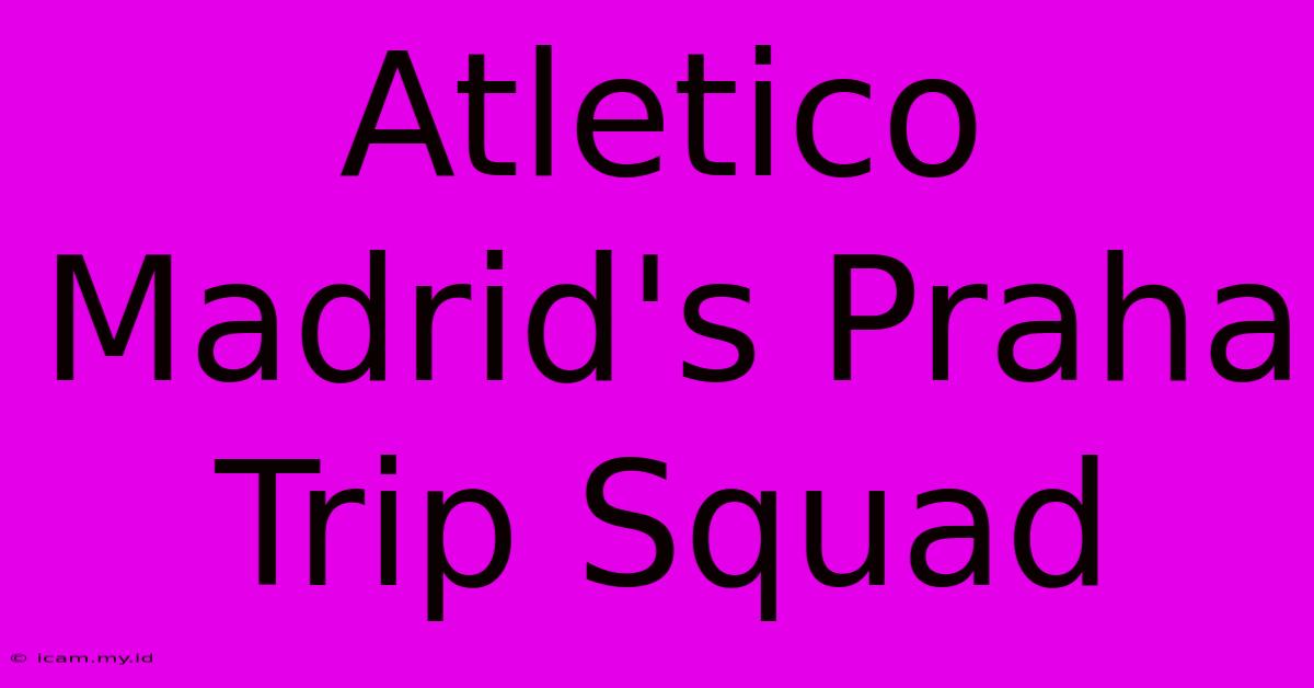 Atletico Madrid's Praha Trip Squad