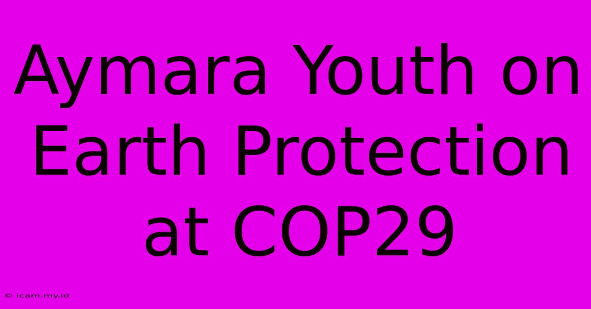 Aymara Youth On Earth Protection At COP29