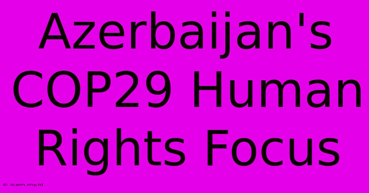 Azerbaijan's COP29 Human Rights Focus