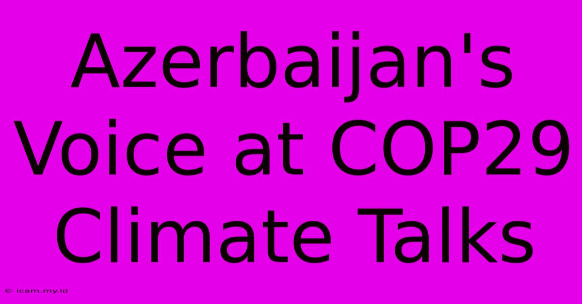 Azerbaijan's Voice At COP29 Climate Talks