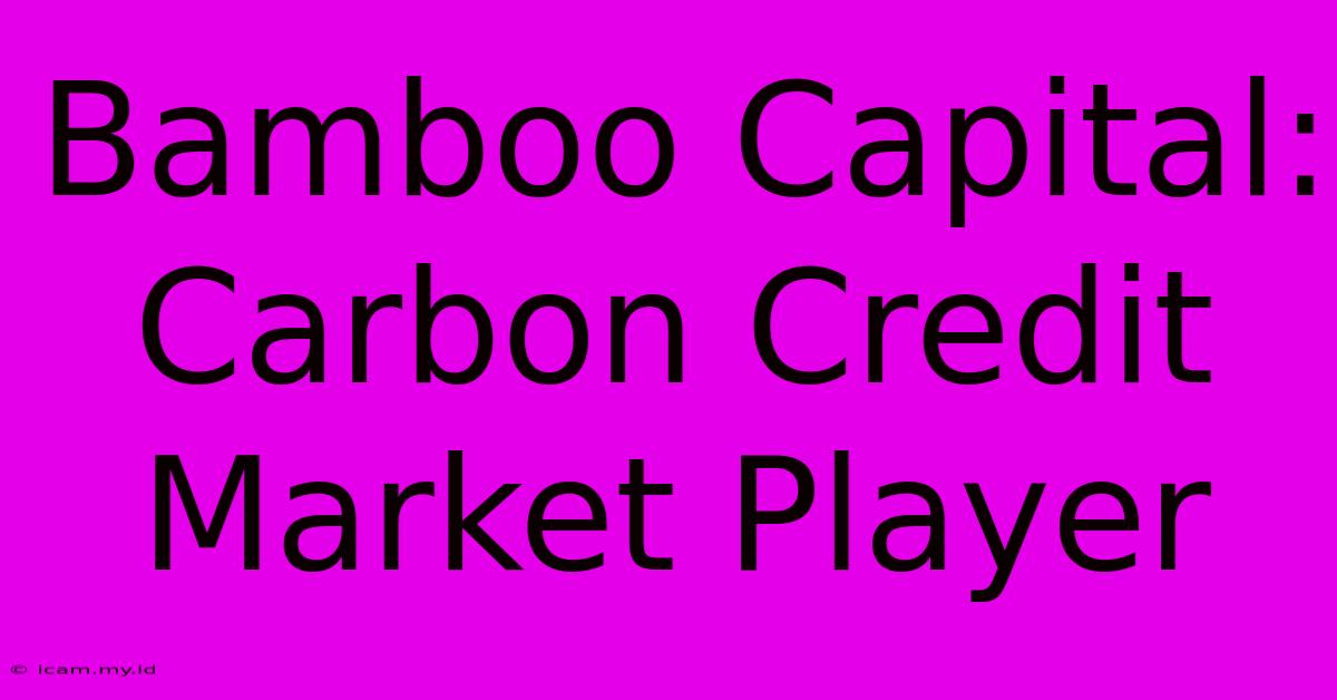 Bamboo Capital: Carbon Credit Market Player