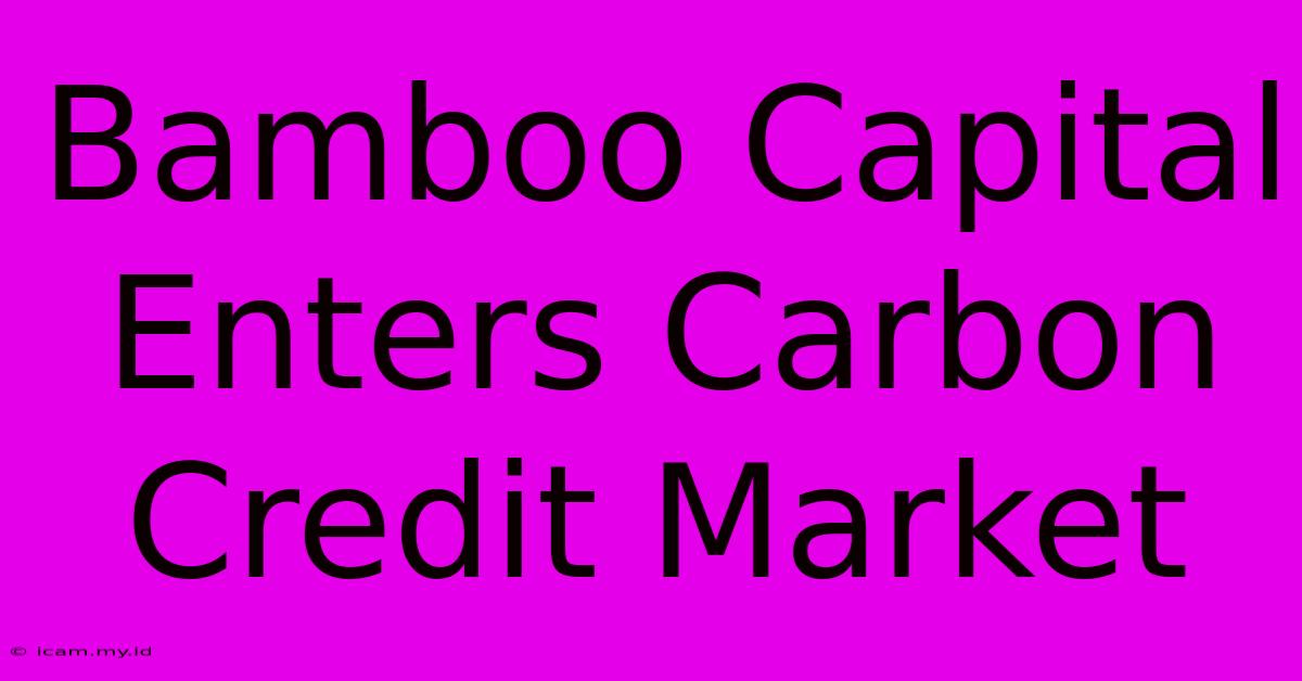 Bamboo Capital Enters Carbon Credit Market