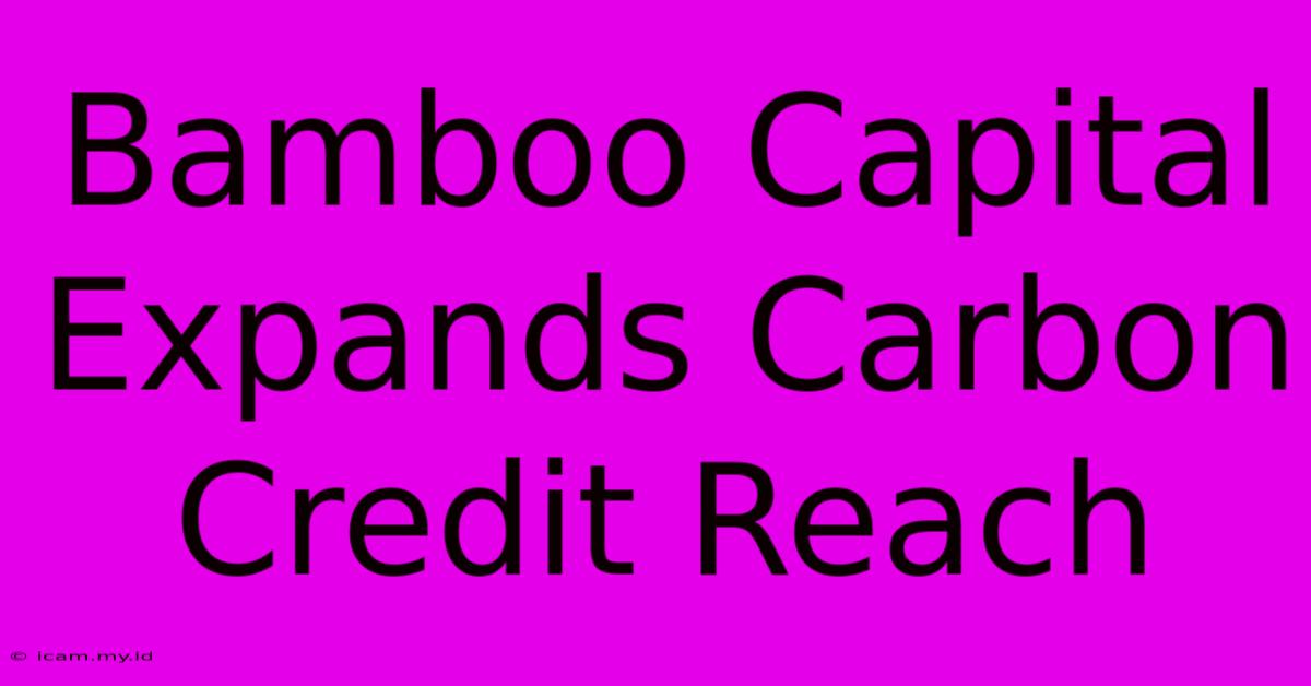 Bamboo Capital Expands Carbon Credit Reach