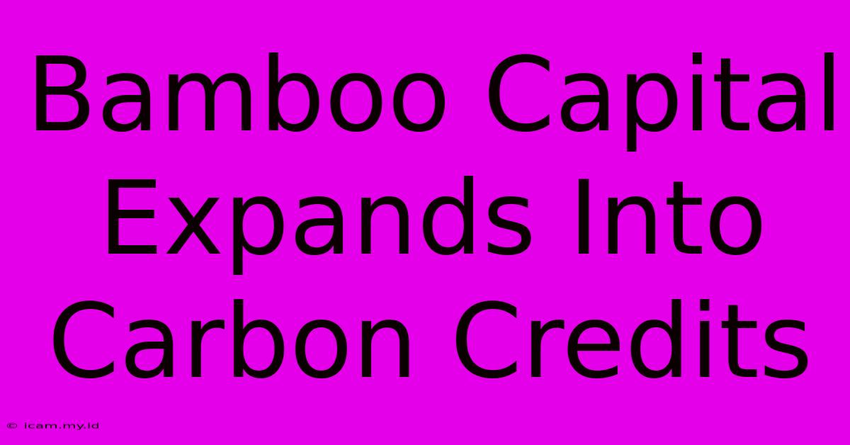 Bamboo Capital Expands Into Carbon Credits