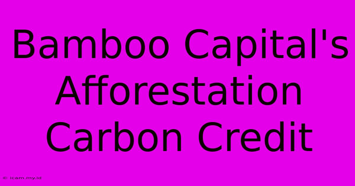 Bamboo Capital's Afforestation Carbon Credit