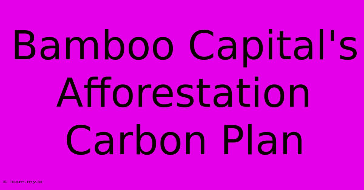 Bamboo Capital's Afforestation Carbon Plan