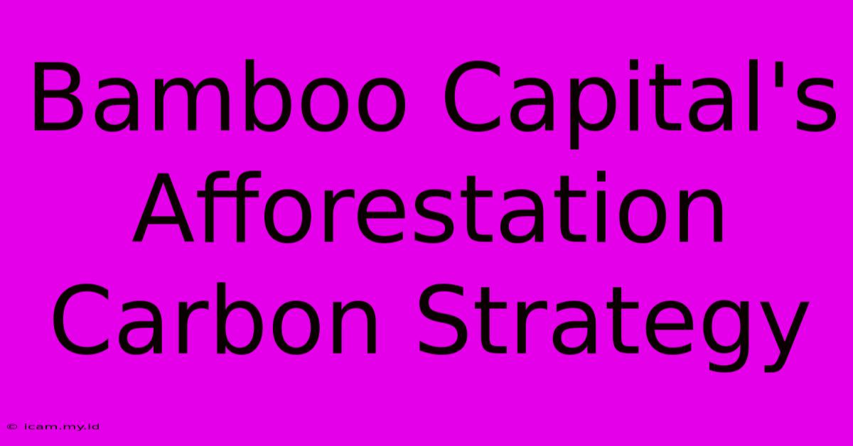 Bamboo Capital's Afforestation Carbon Strategy