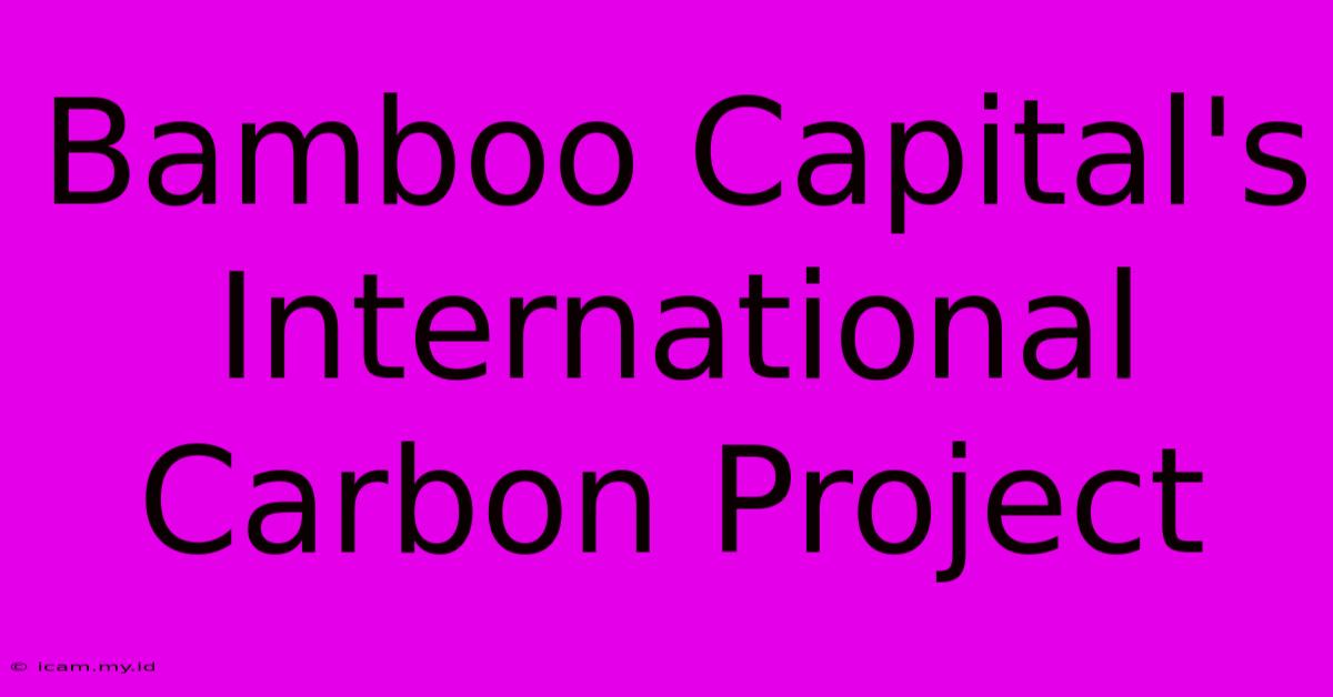 Bamboo Capital's International Carbon Project