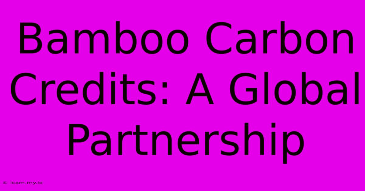 Bamboo Carbon Credits: A Global Partnership