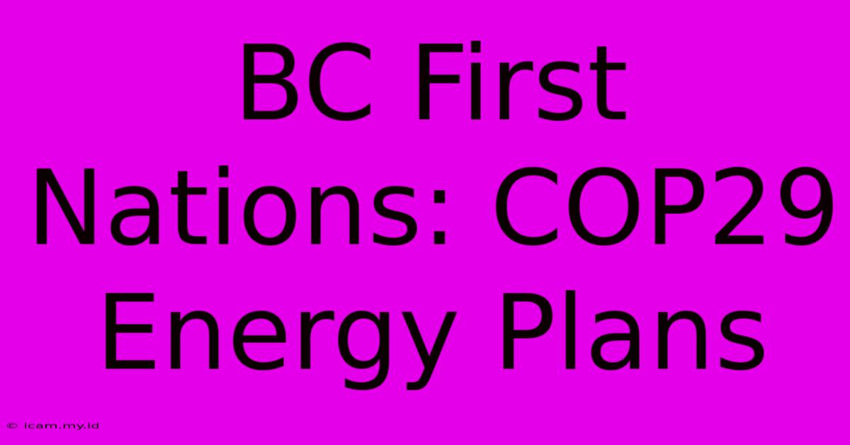 BC First Nations: COP29 Energy Plans