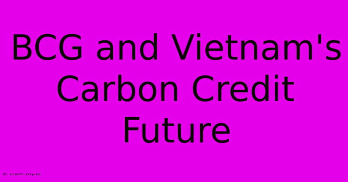 BCG And Vietnam's Carbon Credit Future