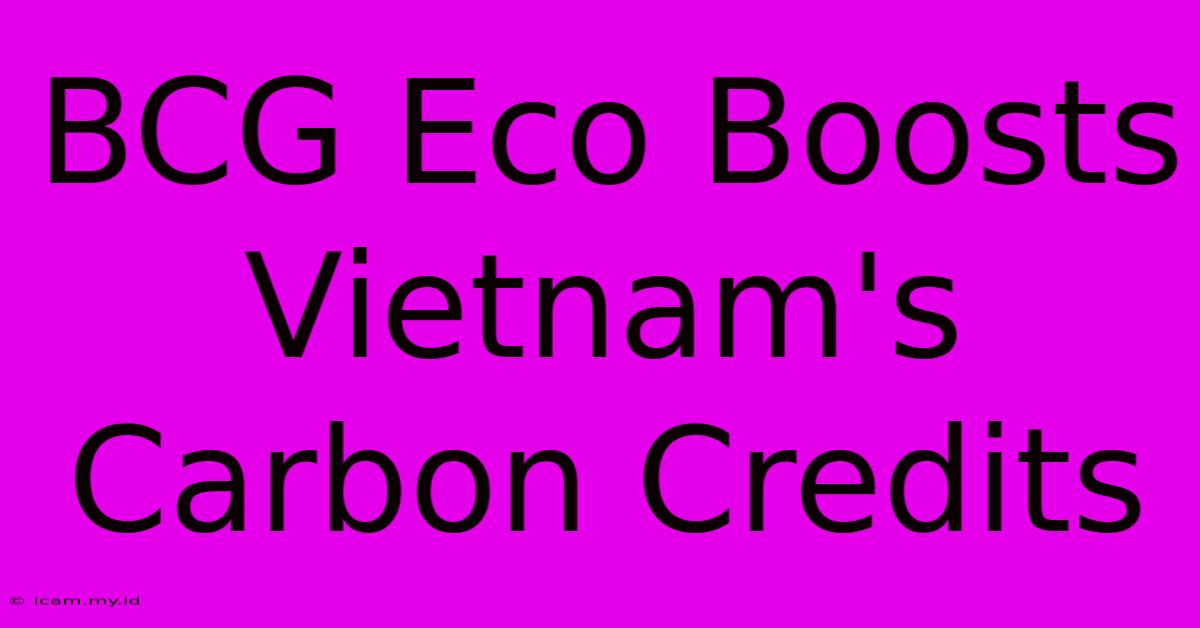 BCG Eco Boosts Vietnam's Carbon Credits