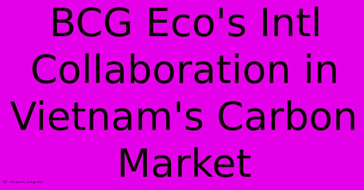 BCG Eco's Intl Collaboration In Vietnam's Carbon Market