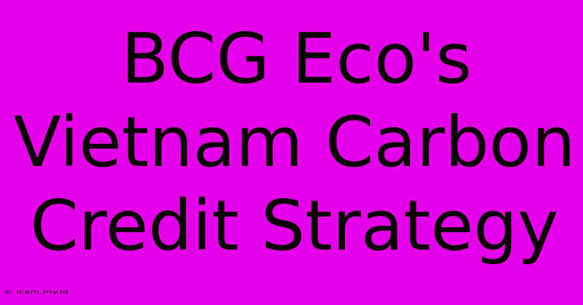 BCG Eco's Vietnam Carbon Credit Strategy