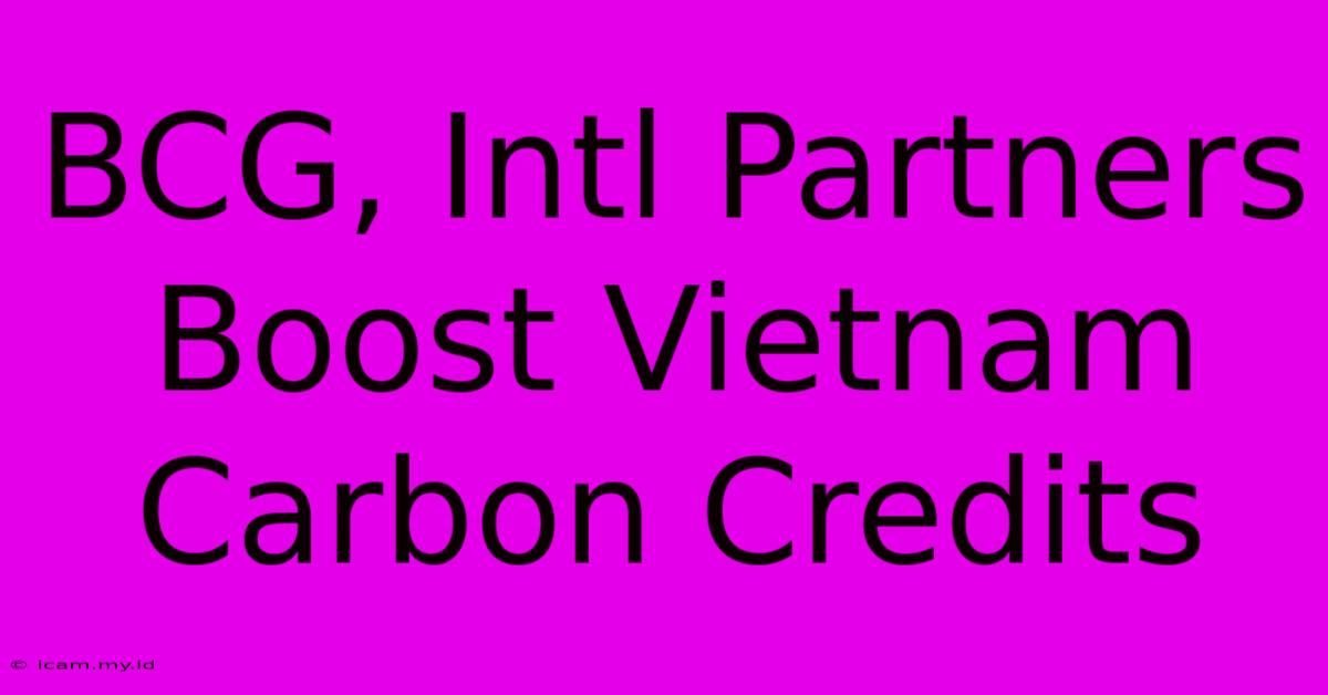 BCG, Intl Partners Boost Vietnam Carbon Credits