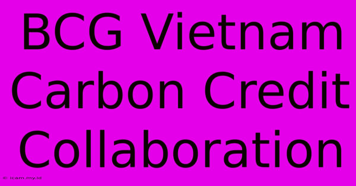 BCG Vietnam Carbon Credit Collaboration