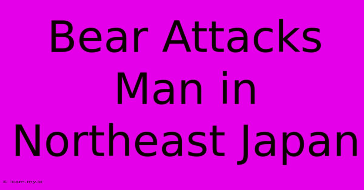 Bear Attacks Man In Northeast Japan