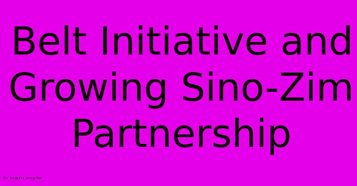 Belt Initiative And Growing Sino-Zim Partnership