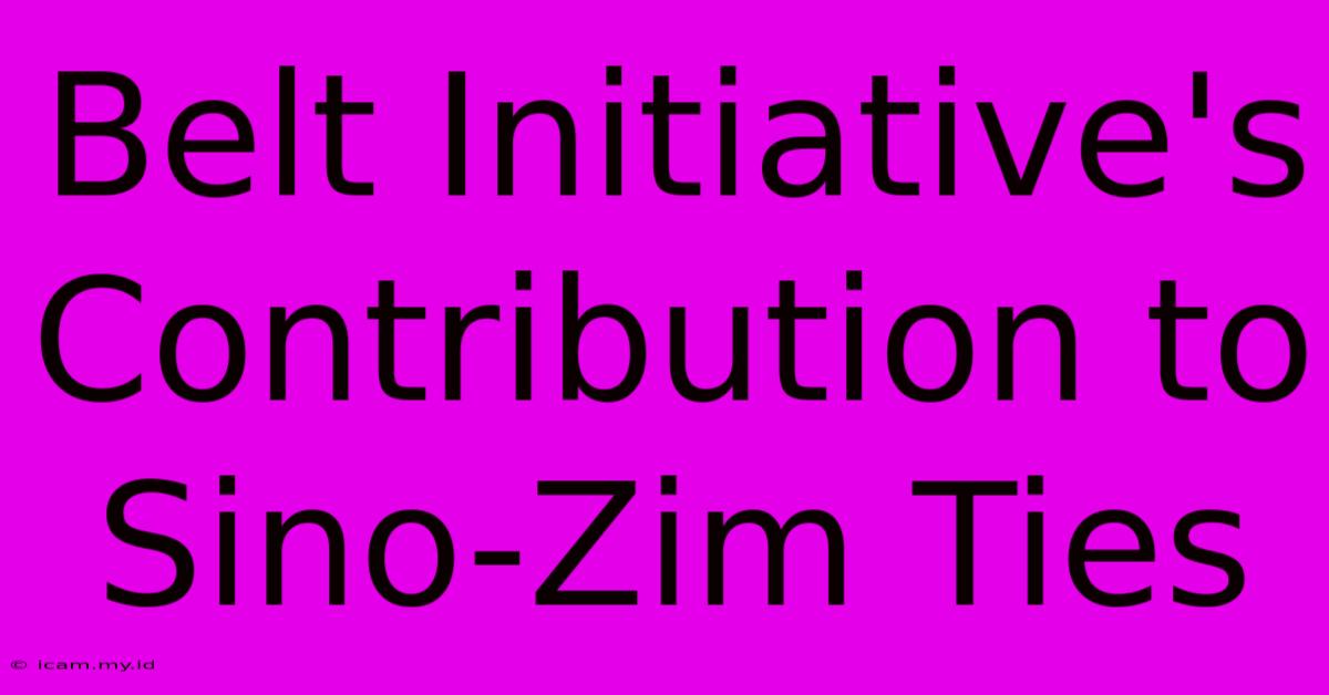 Belt Initiative's Contribution To Sino-Zim Ties