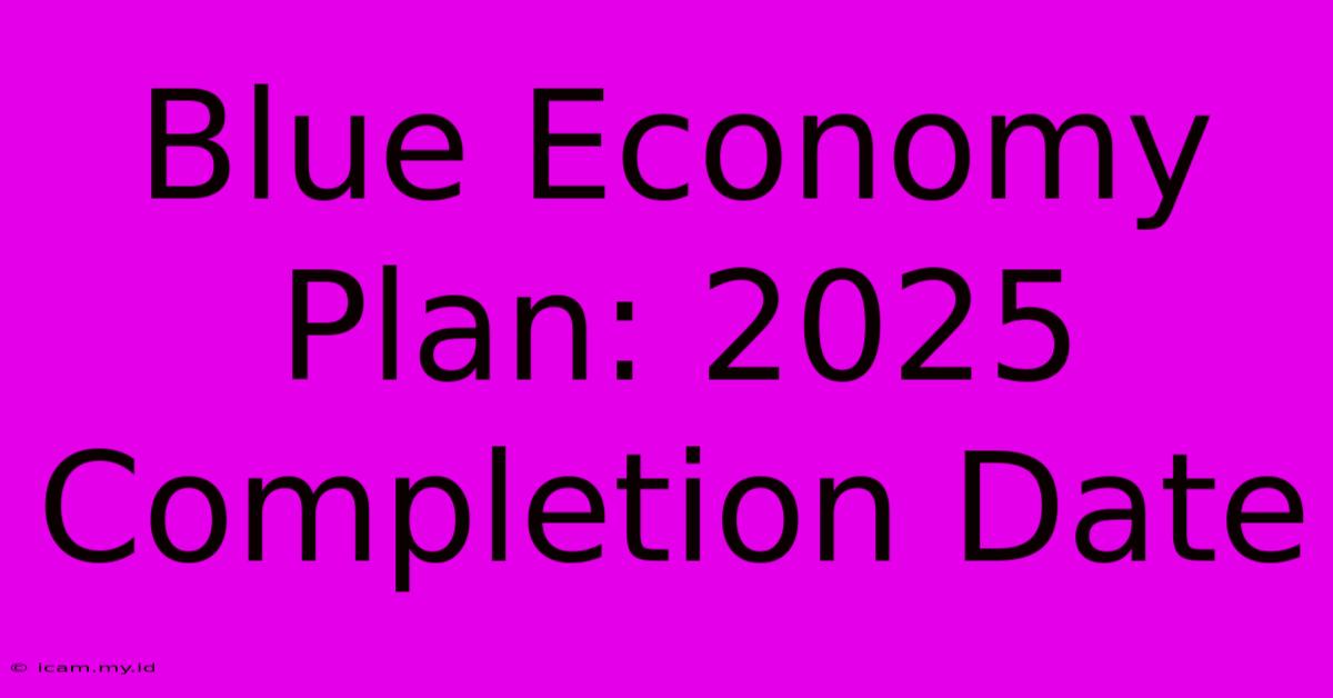 Blue Economy Plan: 2025 Completion Date