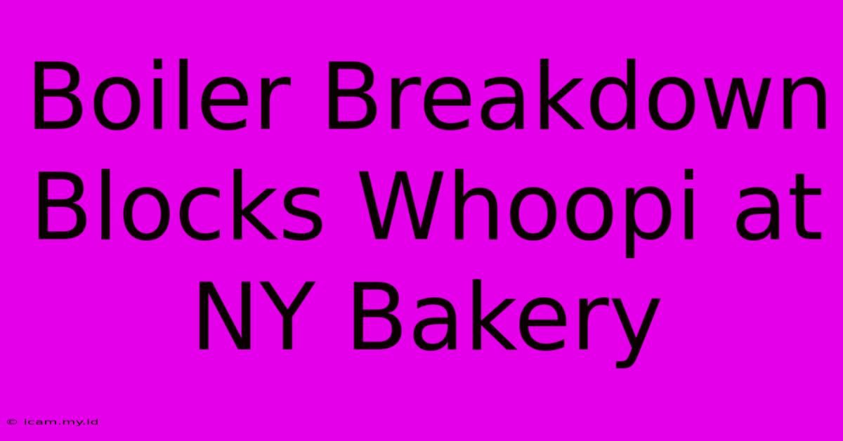 Boiler Breakdown Blocks Whoopi At NY Bakery