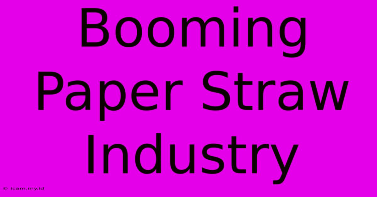 Booming Paper Straw Industry