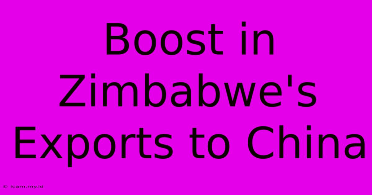 Boost In Zimbabwe's Exports To China