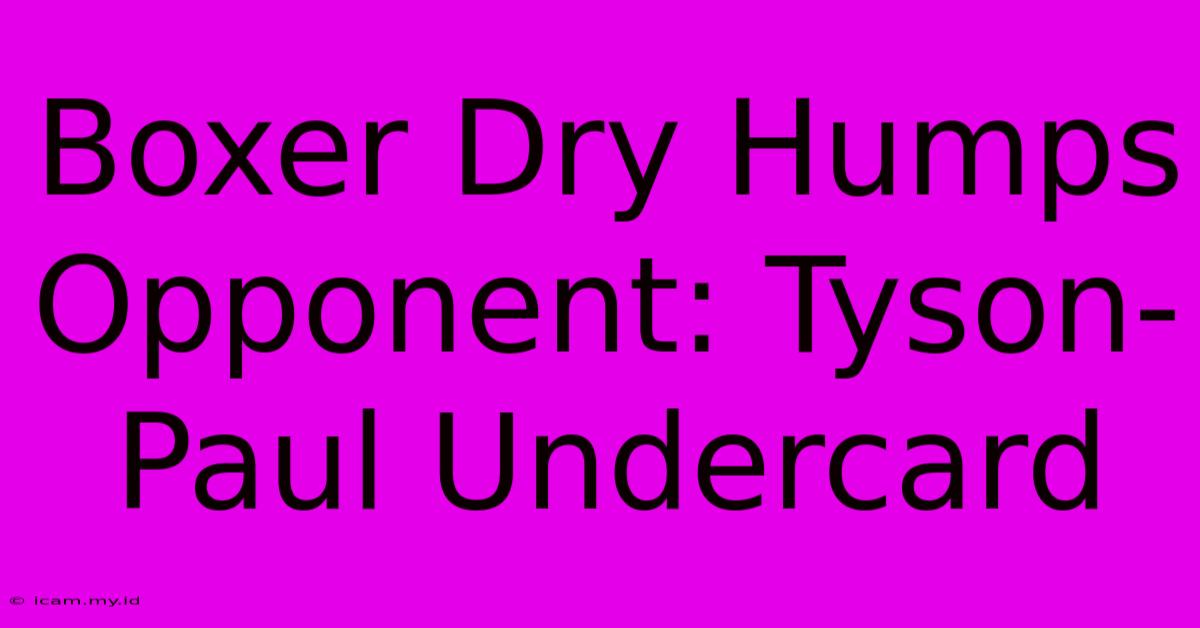 Boxer Dry Humps Opponent: Tyson-Paul Undercard