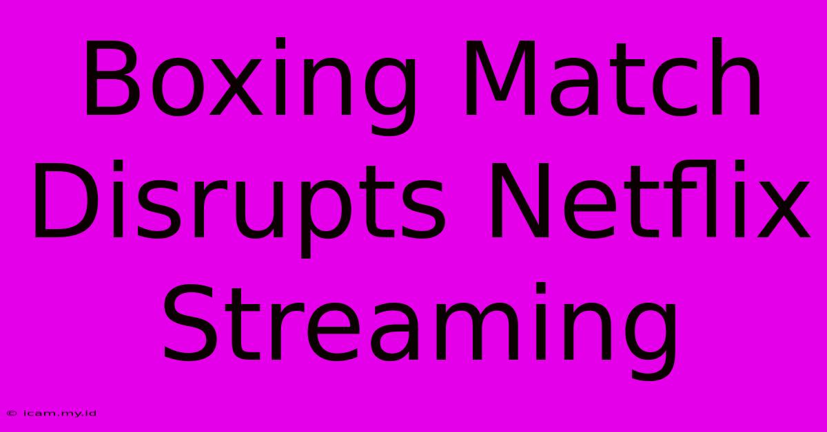 Boxing Match Disrupts Netflix Streaming