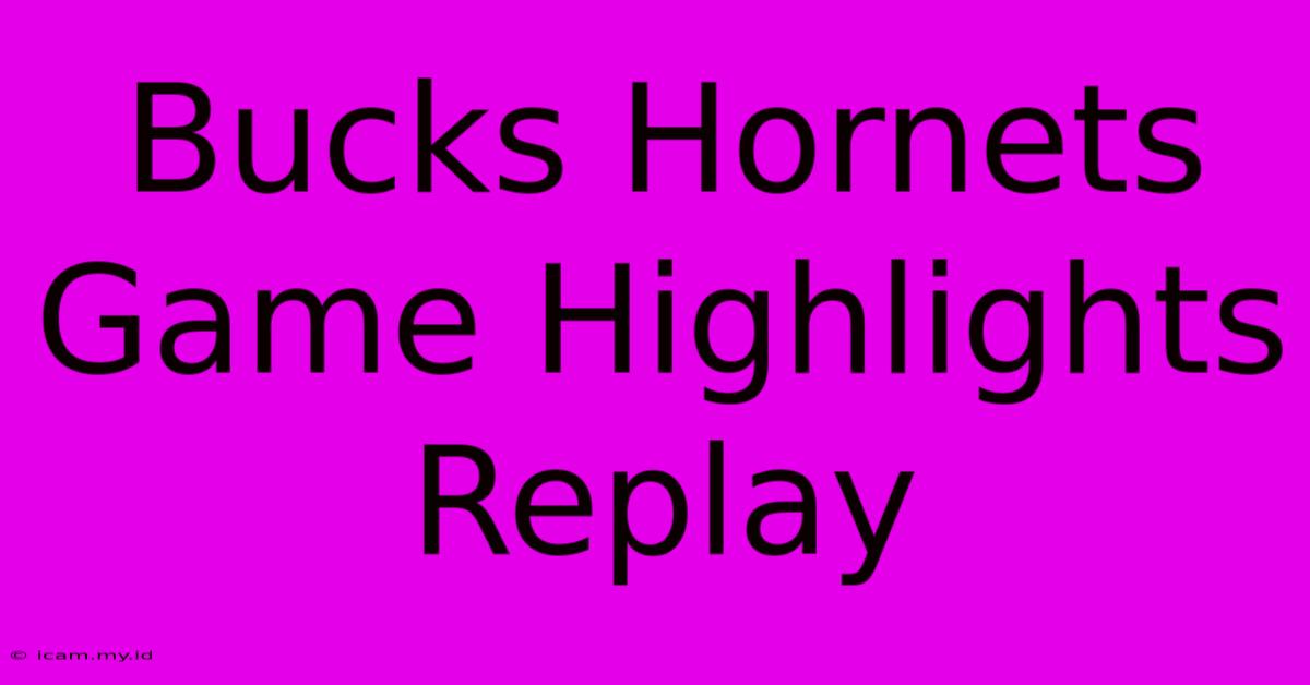 Bucks Hornets Game Highlights Replay