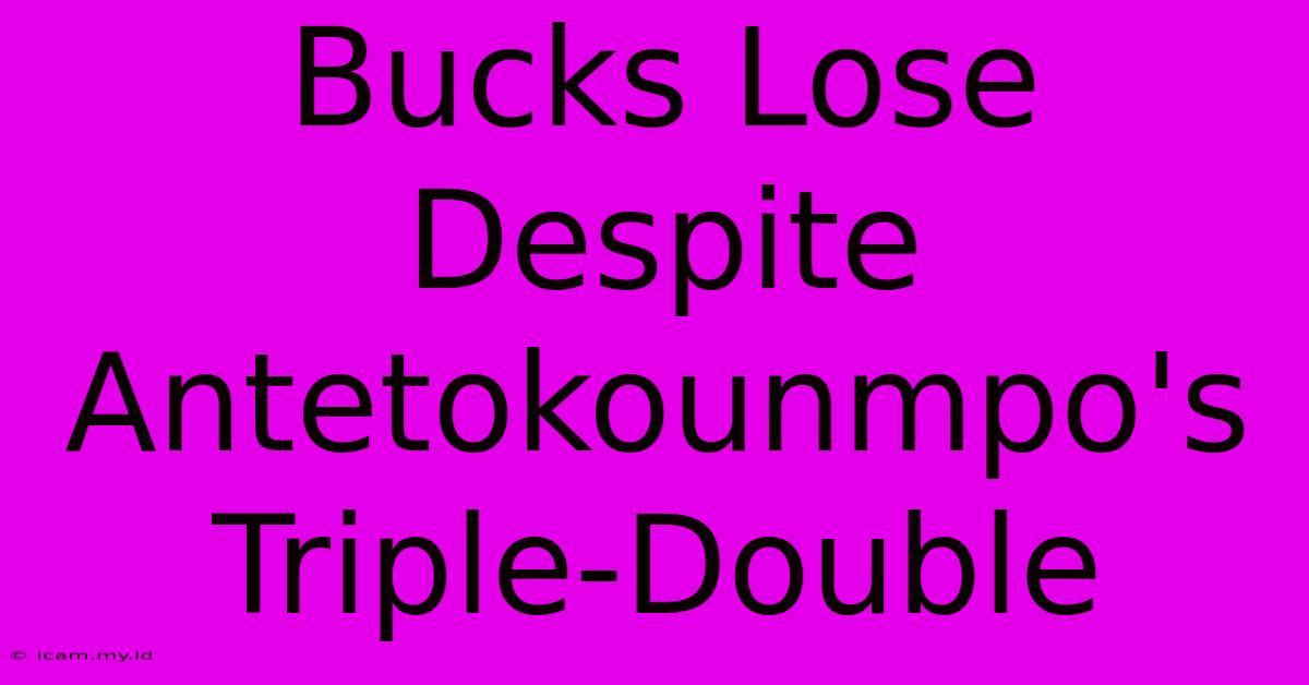 Bucks Lose Despite Antetokounmpo's Triple-Double