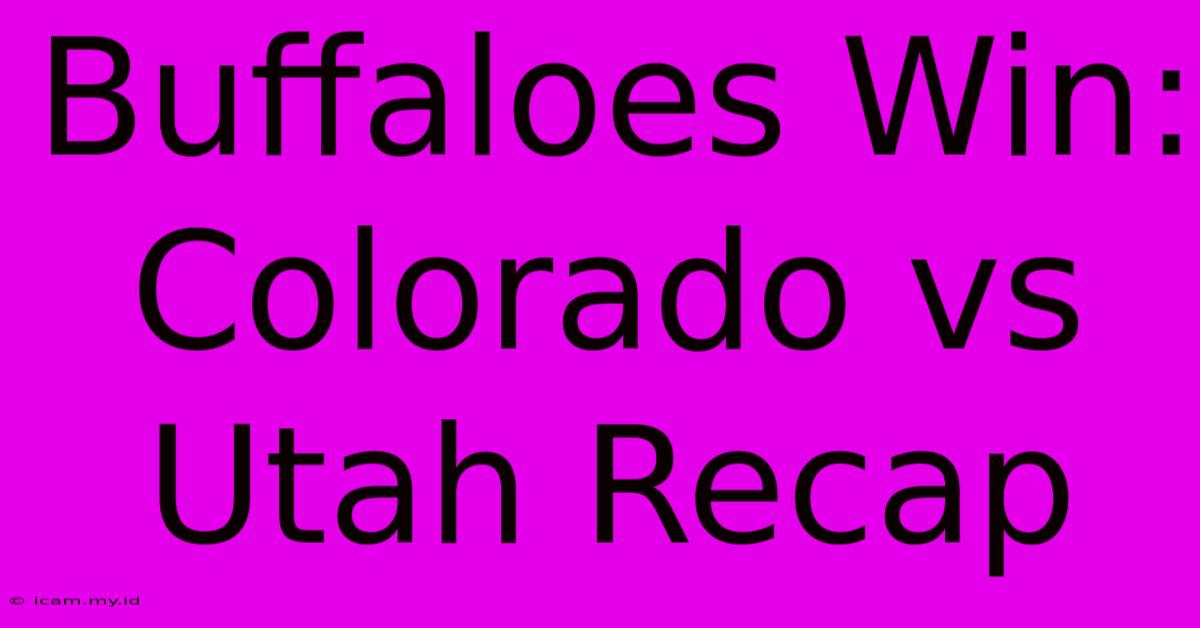 Buffaloes Win: Colorado Vs Utah Recap