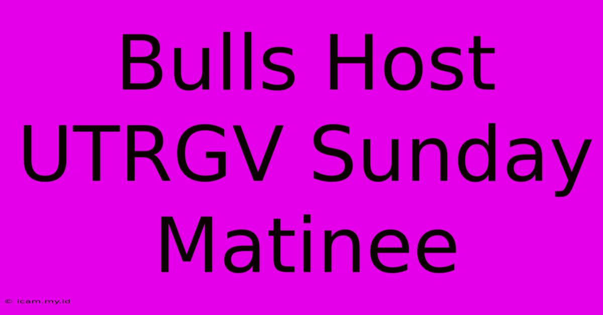 Bulls Host UTRGV Sunday Matinee Bulls Host UTRGV Sunday Matinee
