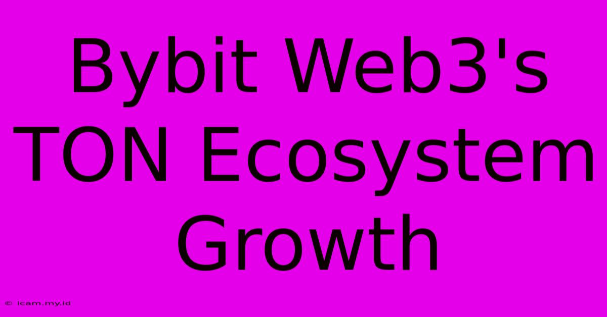 Bybit Web3's TON Ecosystem Growth